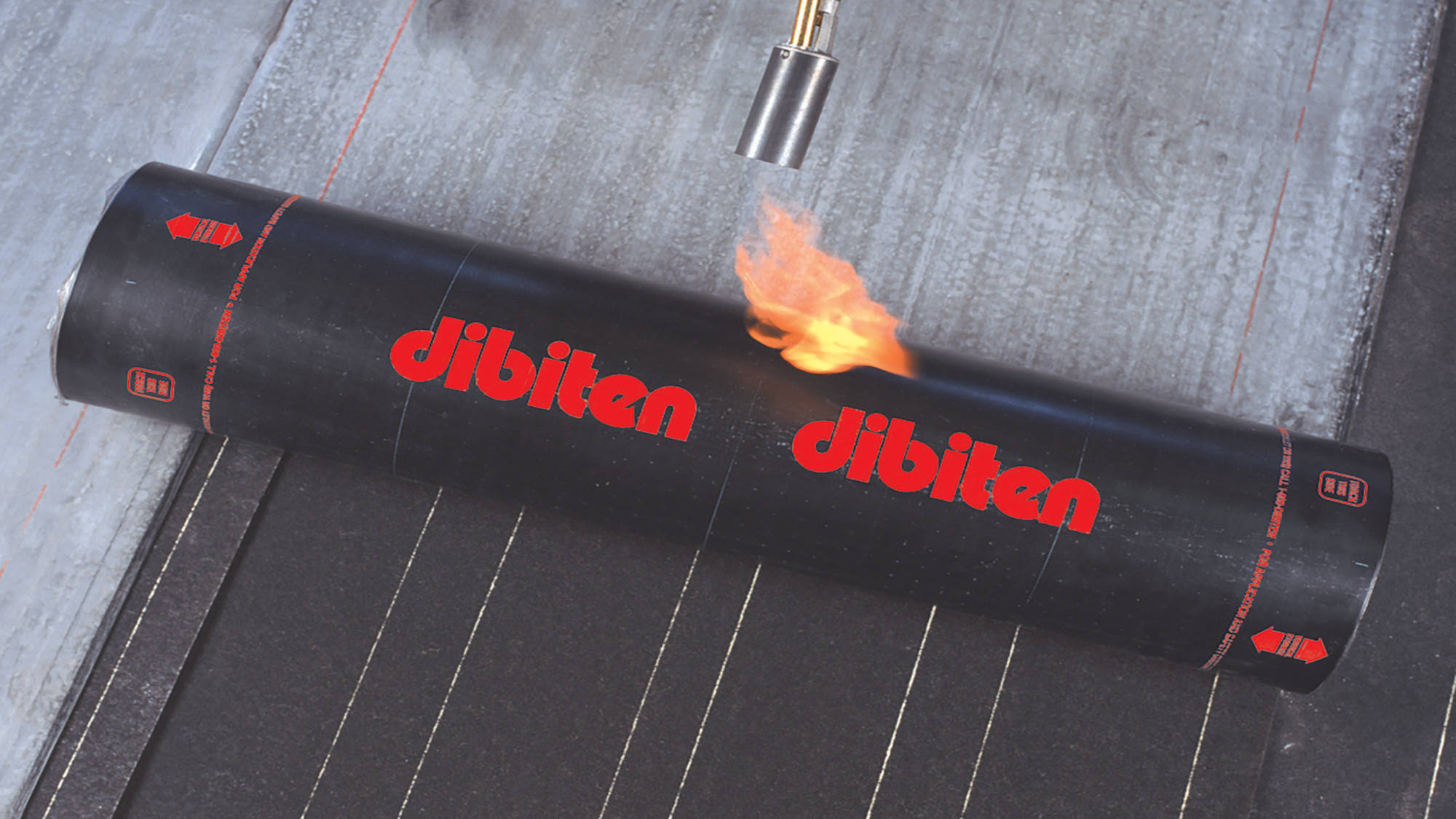 DIBITEN