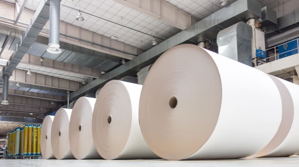 Huge paper rolls sitting in a warehouse