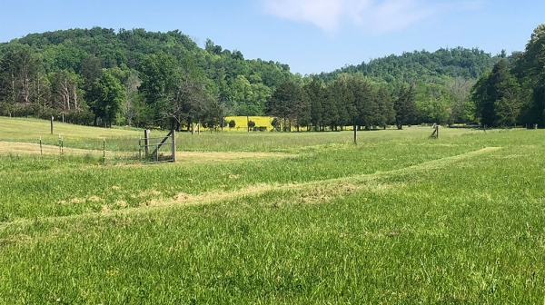 Wide open spaces around the Kemp's farm