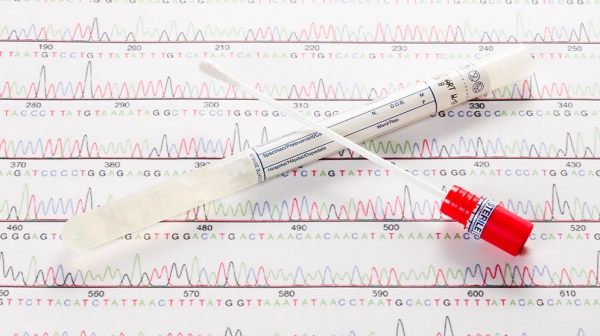 There are 12,500,000 registered DKMS donors worldwide There are 12,500,000 registered DKMS donors worldwide