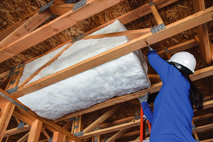 CAVITY-SHIELD™ NFPA 13 Overview