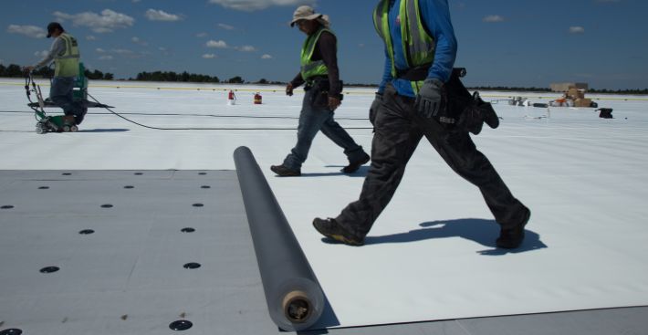 Image of roofers kicking out a roll of PVC membrane
