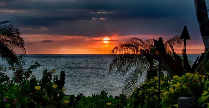 Hawaii 710x367 Hawaii 710x367