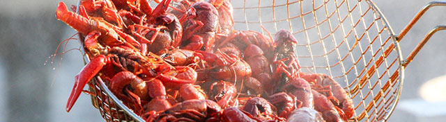 Crawfish_Boil