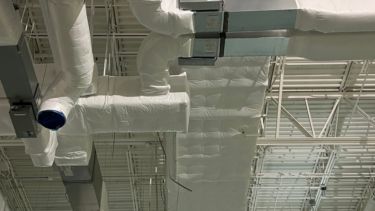 Image of glass building looking up into trees