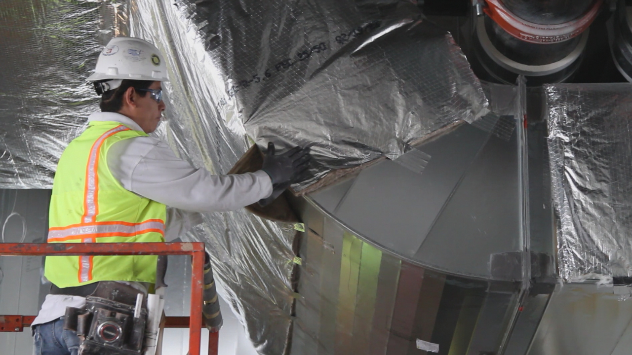 Image of glass building looking up into trees