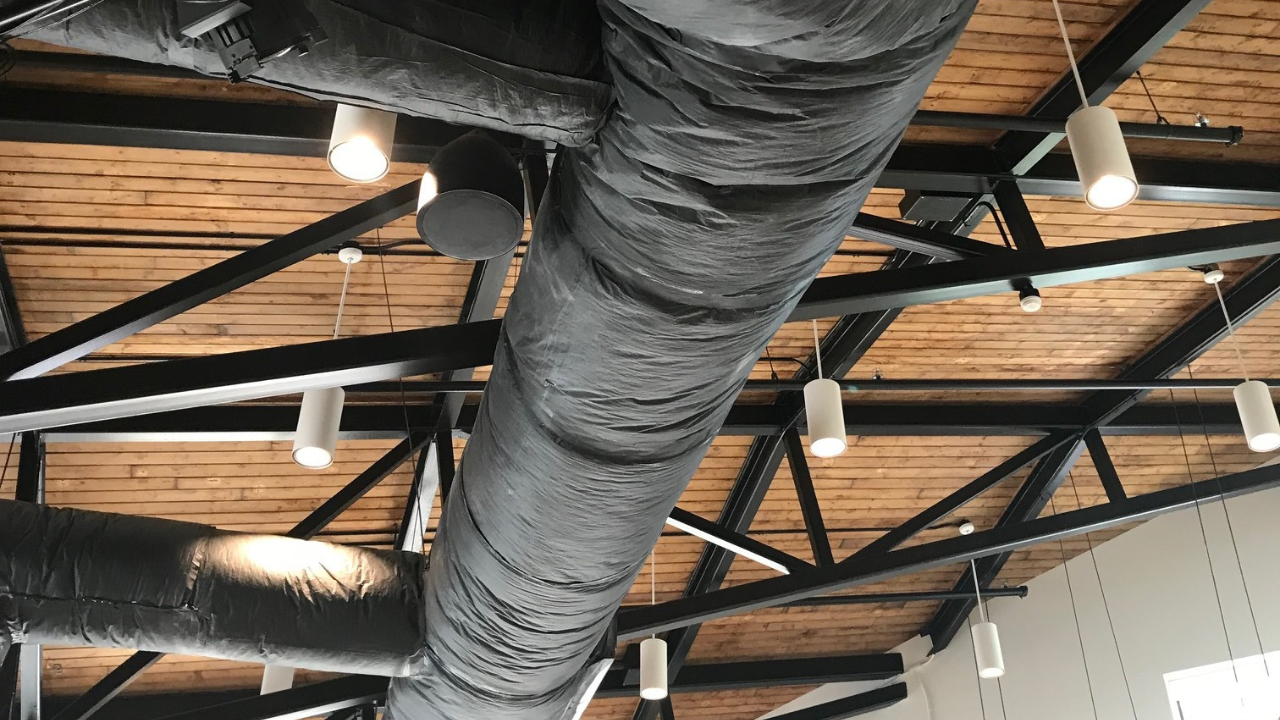 Image of glass building looking up into trees