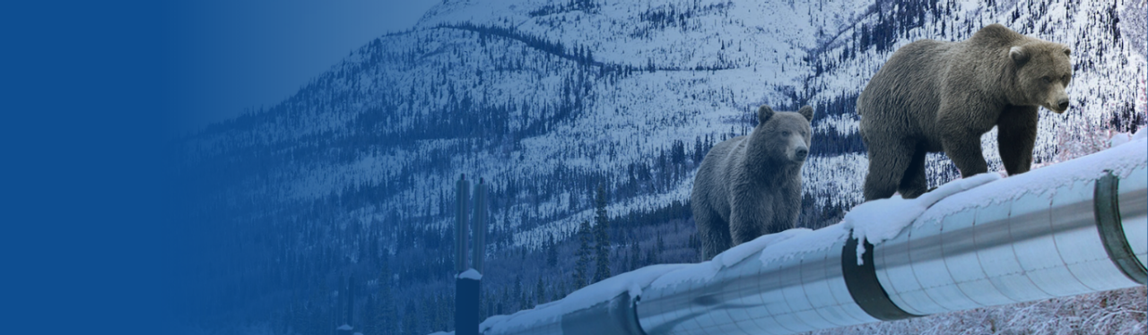 Calcium Silicate Resource Library