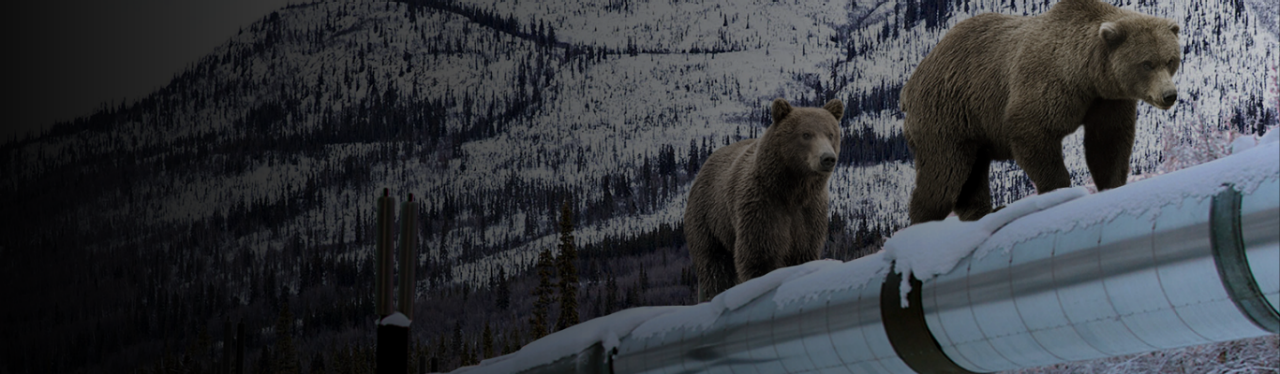 Calcium Silicate Resource Library