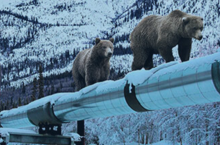 Calcium Silicate Resource Library